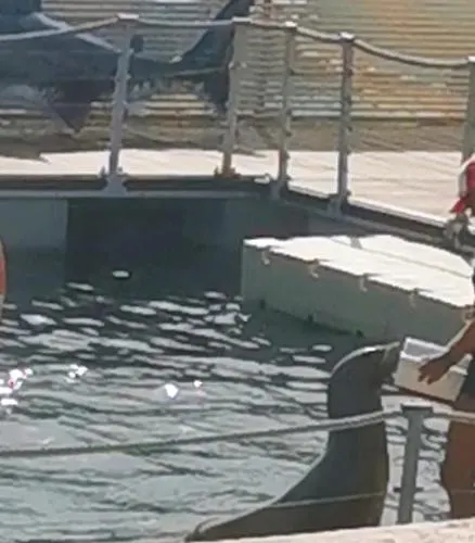 Caleta Paraiso شقة كوستا دي أنتيجوا